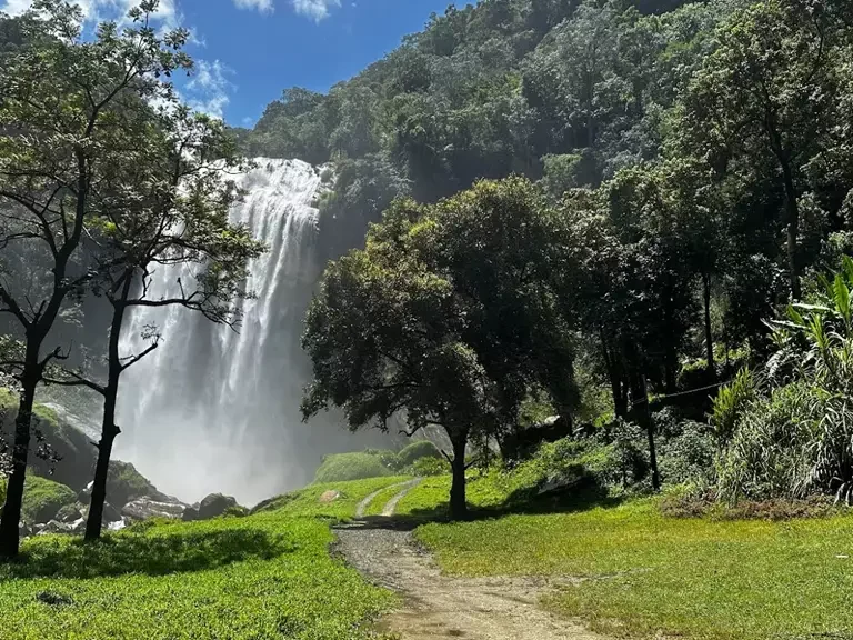 Cachoeira Alta