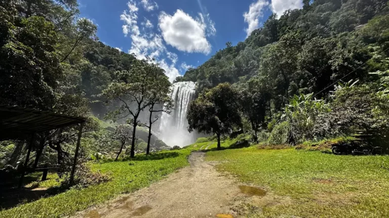 Cachoeira Alta