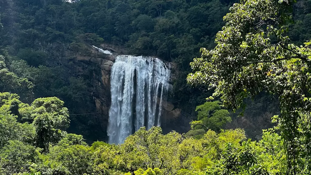 Cachoeira Alta