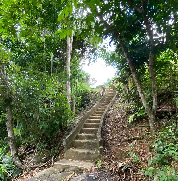 Queda e poço da Cachoeira Baixo Mundo Novo no interior de Rio Novo do Sul