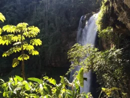 Cachoeira da Matilde