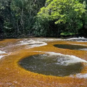 Cachoeira do Mutum em Presidente Figueiredo