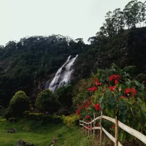 Cachoeira-do-Pedregulho