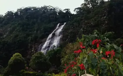 Cachoeira-do-Pedregulho
