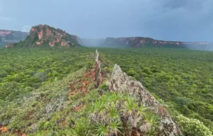 Chapada dos Guimarães