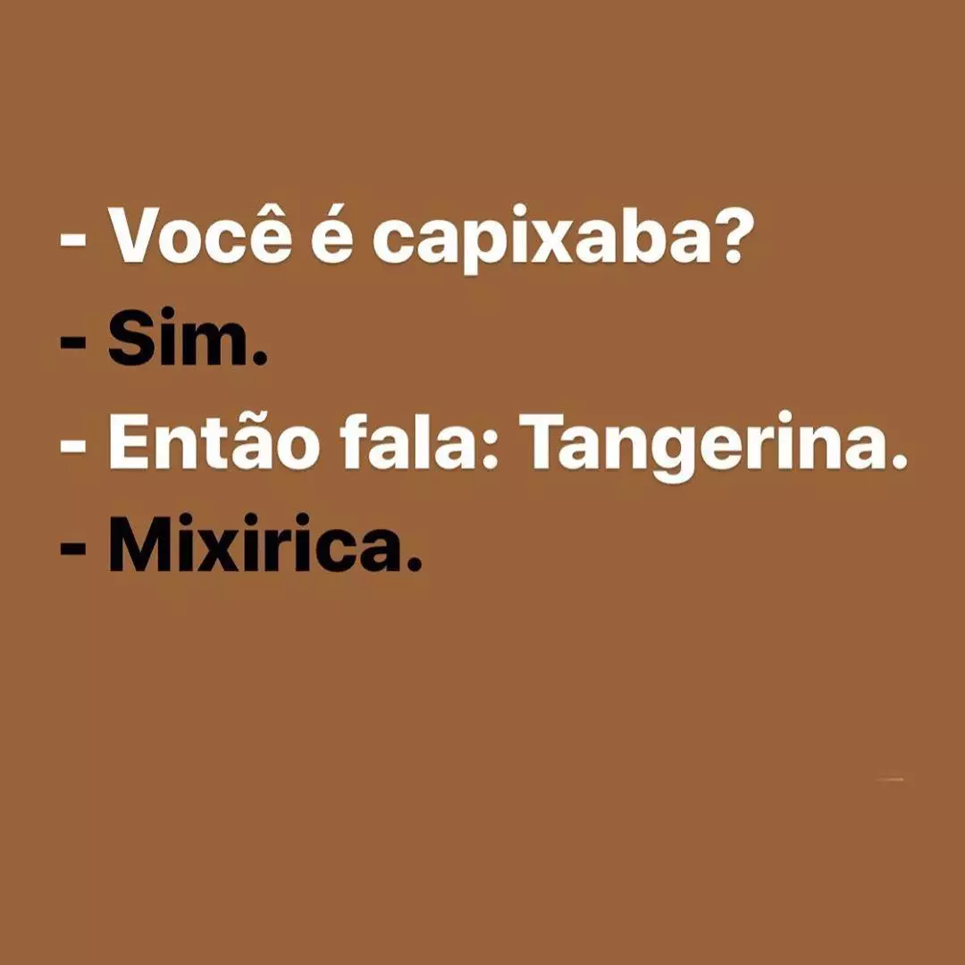 Dicionário Capixabês: Gírias e Expressões do Espírito Santo 55 dialeto capixaba -Dicionário Básico Capixabês