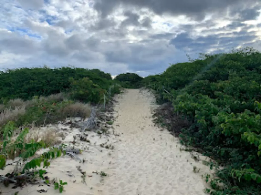 Itaúnas conceção da barra