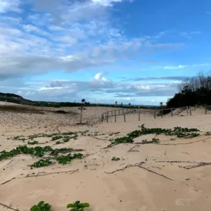 Itaúnas conceção da barra