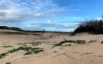 Itaúnas conceção da barra