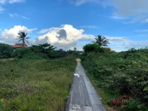 Itaúnas conceção da barra