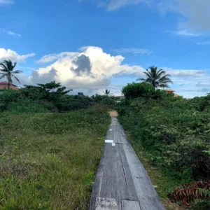 Itaúnas conceção da barra