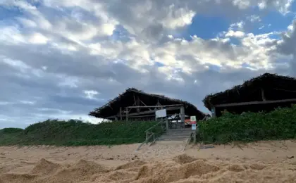 Vila de Itaúnas um paraíso capixaba para quem ama forró e natureza 9 Itaúnas conceção da barra