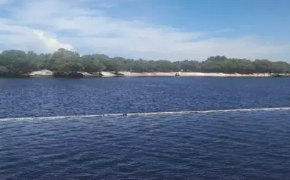 Fenômeno faz Lagoa do Gomes ficar azul em Itapemirim -ES 14 Lagoa do Gomes (Guanandy)