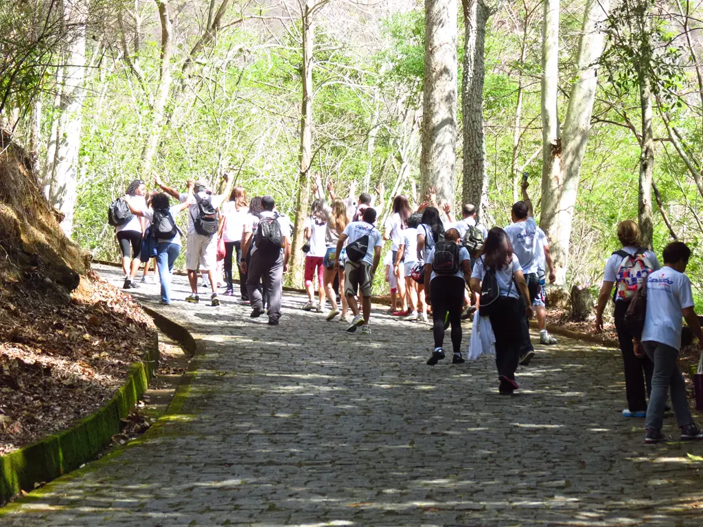 Área do Mosteiro Zen Morro da Vargem em Ibiraçu