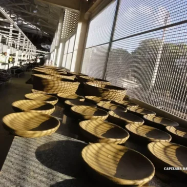 Paneleiras de Goiabeiras, Vitória