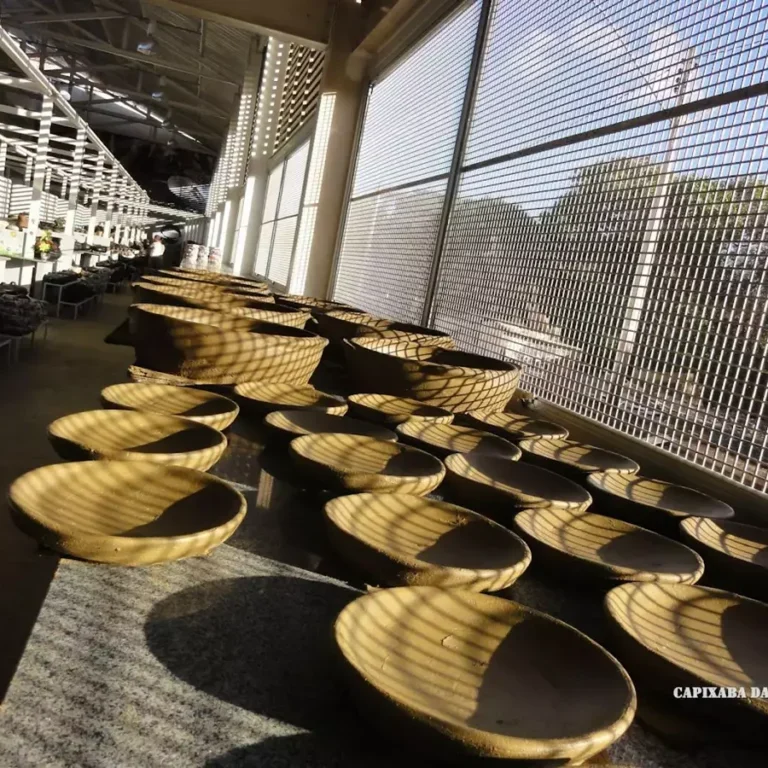 Paneleiras de Goiabeiras, Vitória