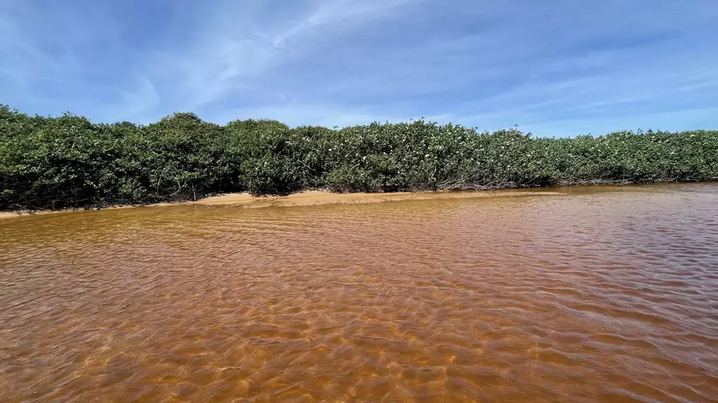 Parque Estadual Paulo César Vinha