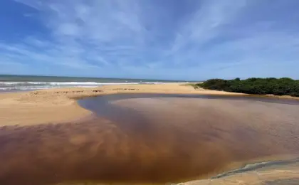 Parque Estadual Paulo César Vinha