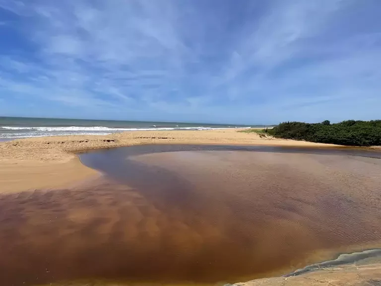 Parque Estadual Paulo César Vinha