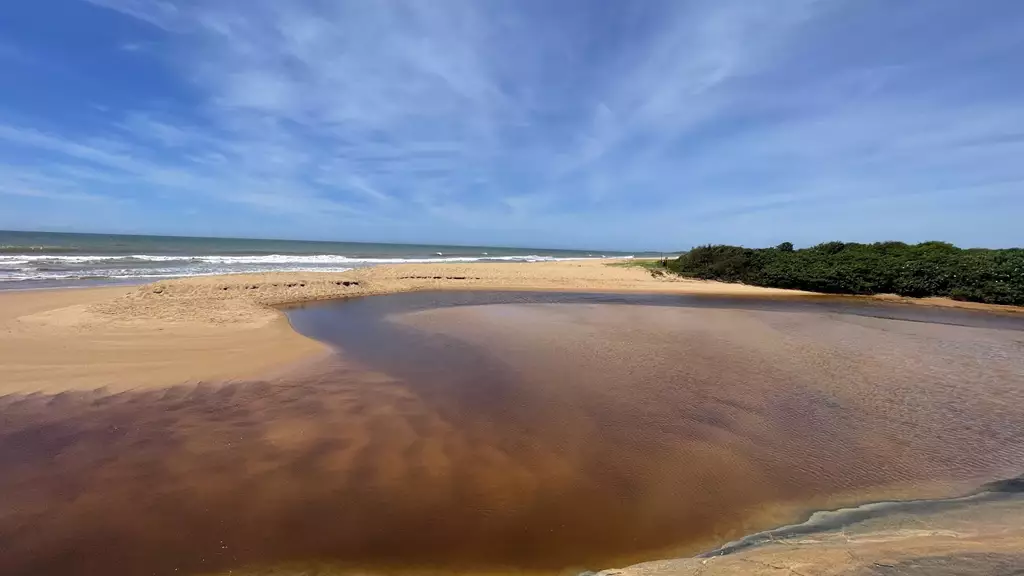 Parque Estadual Paulo César Vinha