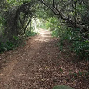 Parque Natural Municipal Morro da Manteigueira, Vila Velha -ES