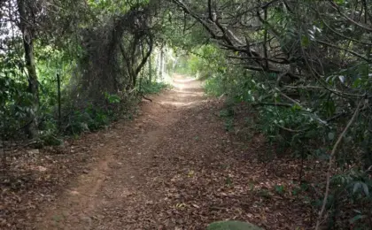 Parque Natural Municipal Morro da Manteigueira, Vila Velha -ES
