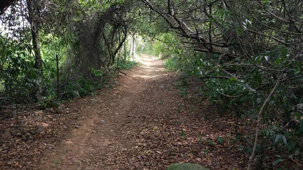 Parque Natural Municipal Morro da Manteigueira, Vila Velha -ES