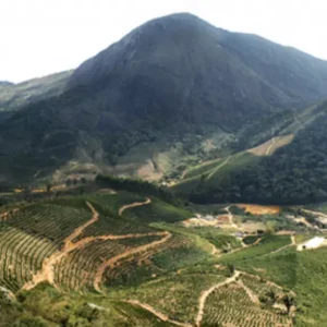 Pedra da Torre em Brejetuba