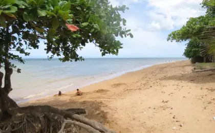 Praia Mar Azul