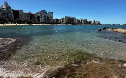 Trilha “topzera” no Centro de Guarapari: Aventure-se! 15 Praia das Castanheiras