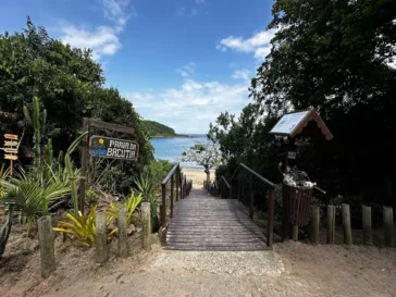 Praia de Bacutia