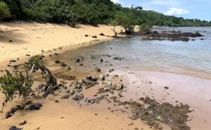 Praia de Gramuté, Aracruz -ES