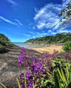 Praia do Sapê