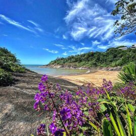 Praia do Sapê