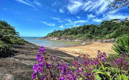 Praia do Sapê