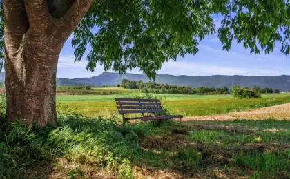 Turismo Rural