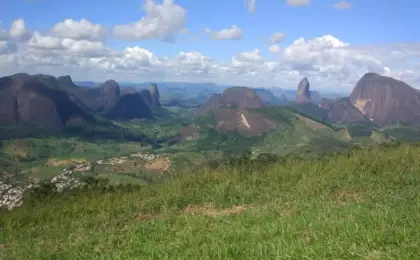 Pancas