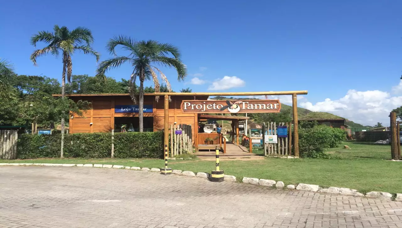 Praça do Papa - tamar