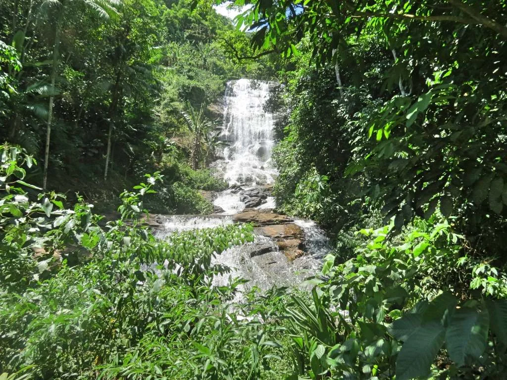 Cachoeira Piripitinga em São Francisco de Batatal, Alfredo Chaves