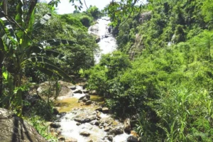 Cachoeira das Andorinhas em Santa Leopoldina, ES