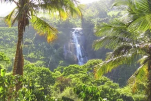 Cachoeira das Andorinhas em Santa Leopoldina, ES