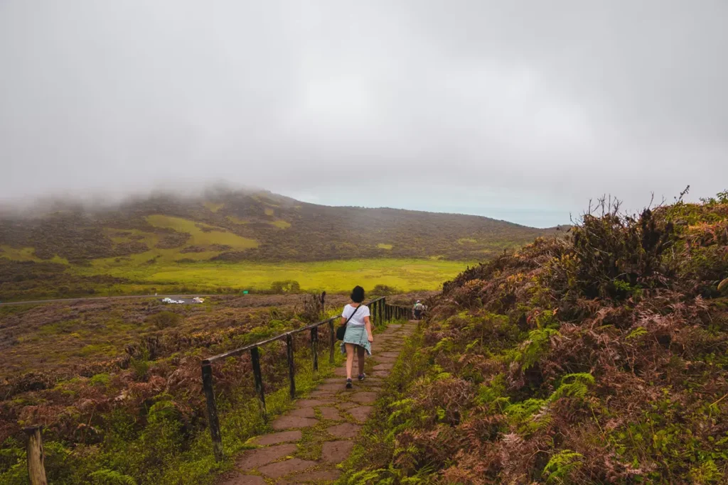 Galápagos: A Joia Rara e Inigualável da Natureza!