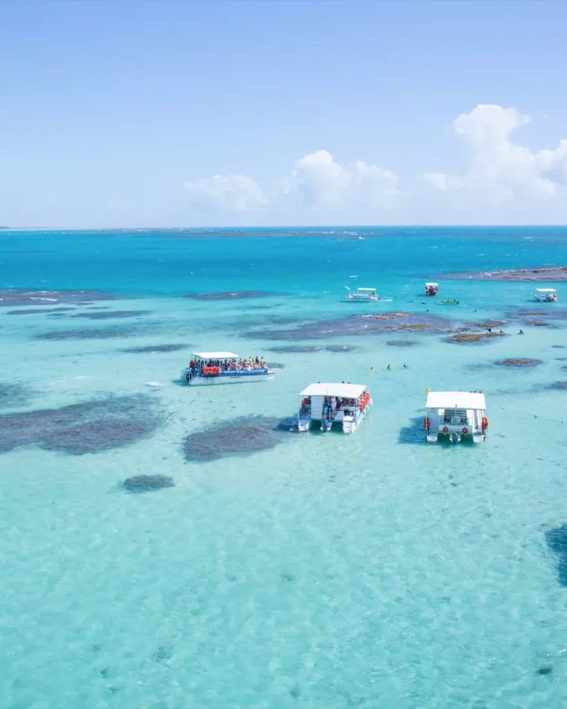 Galés de Maragogi, Alagoas