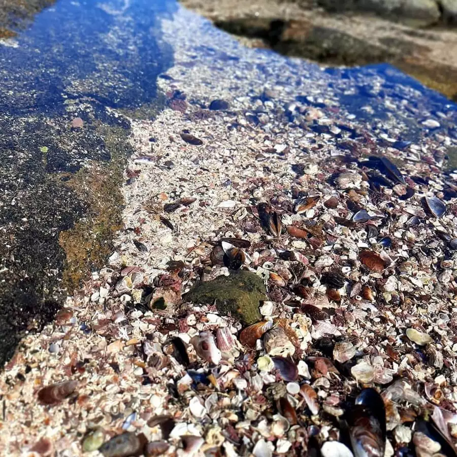 Ilha das Garças Explore um Paraíso Natural em Vila Velha!