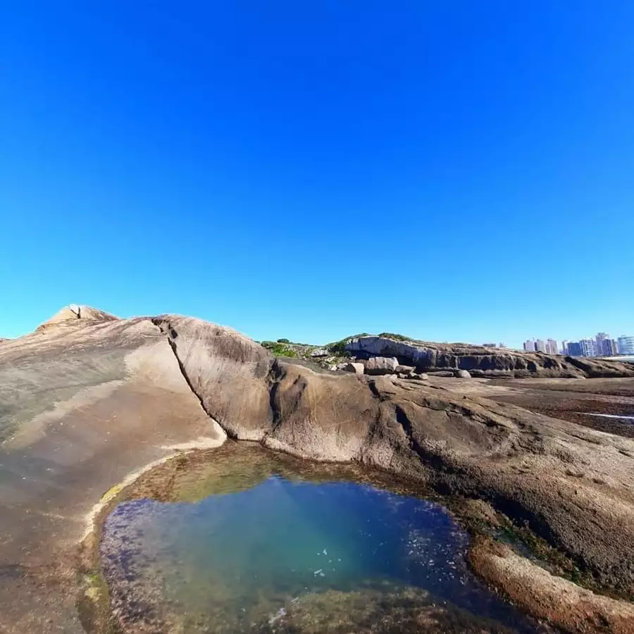 Ilha das Garças Explore um Paraíso Natural em Vila Velha!