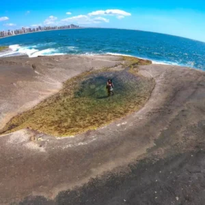 Ilha das Garças Explore um Paraíso Natural em Vila Velha!