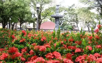 Parque Moscoso