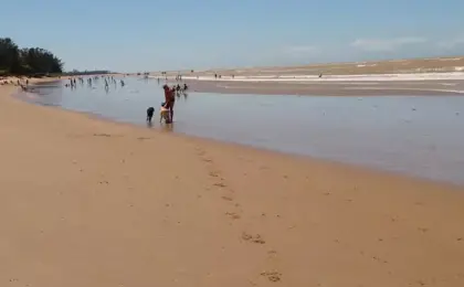 Praia de Guaxindiba