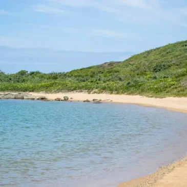 Praia do Ermitão Um Refúgio Natural em Guarapari