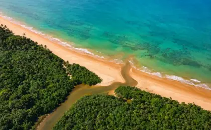 Praia do Sauê